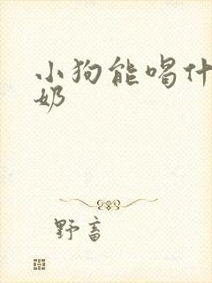 小狗能喝什么酸奶