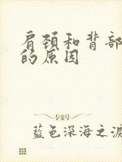 肩颈和背部疼痛的原因封面