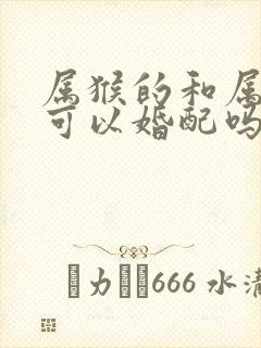 属猴的和属马的可以婚配吗