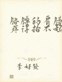 胳膊的肩膀疼,疼得抬不起来了