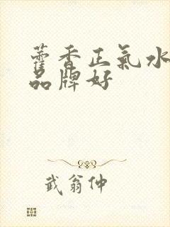 藿香正气水那个品牌好