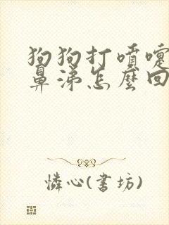 狗狗打喷嚏有黄鼻涕怎么回事封面