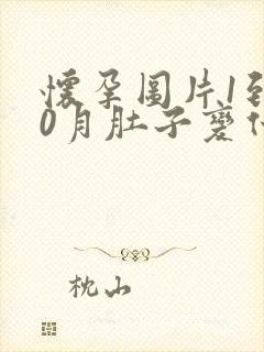 怀孕图片1到10月肚子变化