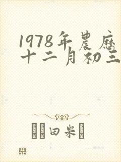 1978年农历十二月初三是什么命