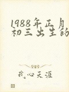 1988年正月初三出生的女命