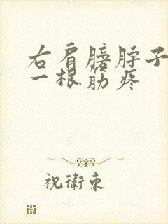 右肩膀脖子连着一根筋疼封面