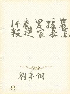 14岁男孩严重叛逆家长怎么办