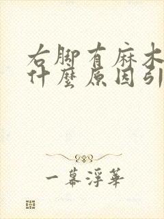 右脚有麻木感是什么原因引起的