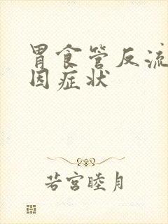 胃食管反流的病因症状封面