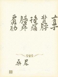 肩膀后背有个粗筋疼痛脖子也疼