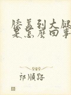 膝盖到大腿筋疼是怎么回事