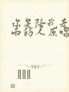 你是陪我走过风雨的人原唱