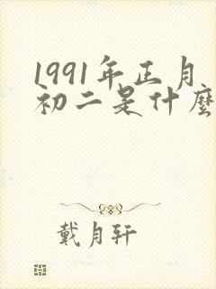 1991年正月初二是什么命