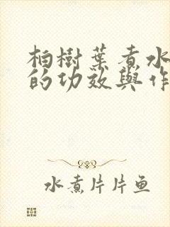 柏树叶煮水洗头的功效与作用