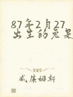 87年2月27出生的兔是什么命