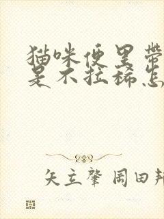 猫咪便里带血但是不拉稀怎么办封面