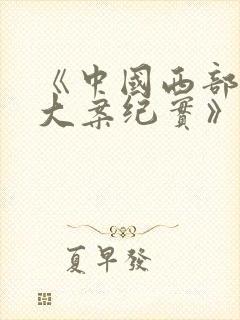 《中国西部刑侦大案纪实》纪录片封面