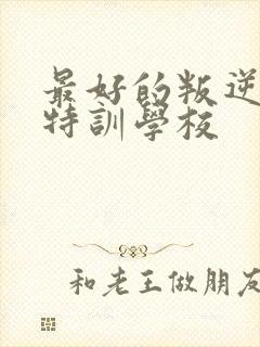 最好的叛逆孩子特训学校