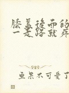 膝盖后面的腿窝一走路就疼