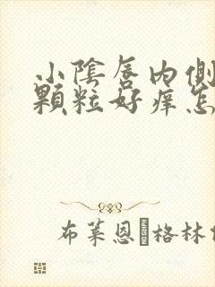 小阴唇内侧长小颗粒好痒怎么回事