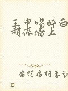 王申喝醉白洁被赵振墙上