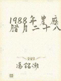 1988年农历腊月二十八是什么命