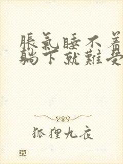 胀气睡不着觉一躺下就难受封面