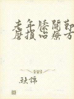 老年膝关节软骨磨损治疗方法封面