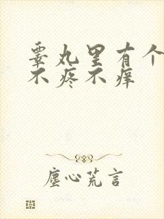 睾丸里有个疙瘩不疼不痒