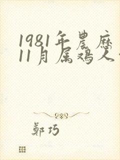 1981年农历11月属鸡人命运封面