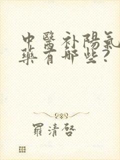 中医补阳气的中药有哪些?