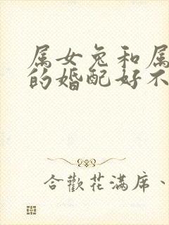属女兔和属男蛇的婚配好不好封面