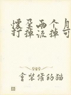 怀孕两个月药物打掉流掉可以吗