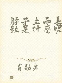 脖子上面长小肉粒是什么呢