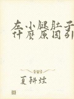 左小腿肚子疼是什么原因引起的