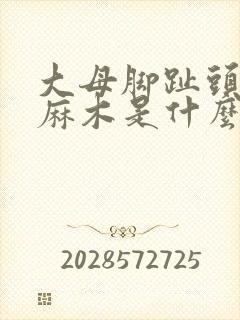 大母脚趾头外侧麻木是什么原因