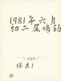 1981年六月初二属鸡的命运如何封面