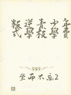 叛逆青少年封闭式学校学费