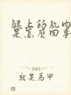 腿上的肌肉跳动是怎么回事