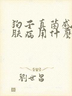 狗子真菌感染皮肤病用什么药