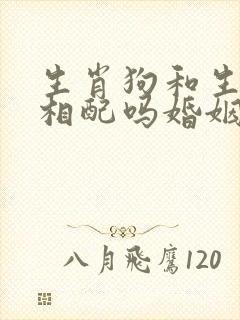 生肖狗和生肖猪相配吗婚姻如何