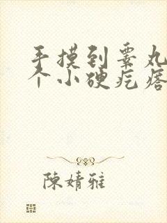 手摸到睾丸上有个小硬疙瘩