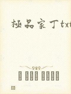 极品家丁txt