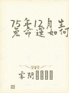 75年12月生兔命运如何封面
