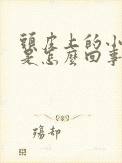 头皮上的小疙瘩是怎么回事