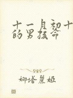 十一月初十出生的男孩命