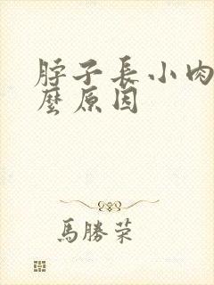 脖子长小肉粒什么原因