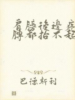 肩膀后边疼的胳膊都抬不起来