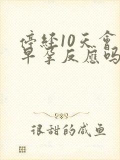 停经10天会有早孕反应吗