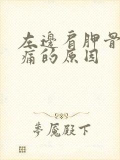 左边肩胛骨缝酸痛的原因封面